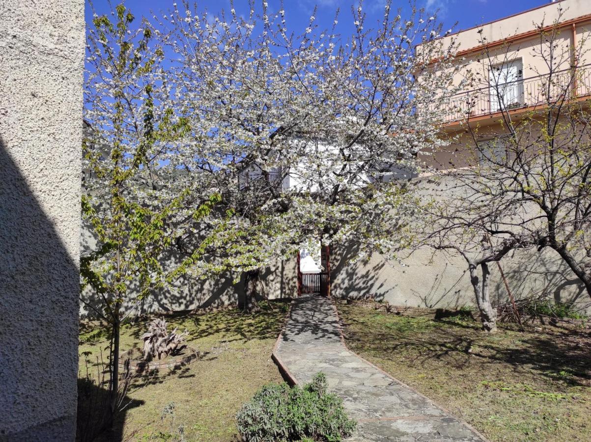 Antica Dimora Palazzo Rovitti Bed & Breakfast Cerchiara di Calabria Bagian luar foto