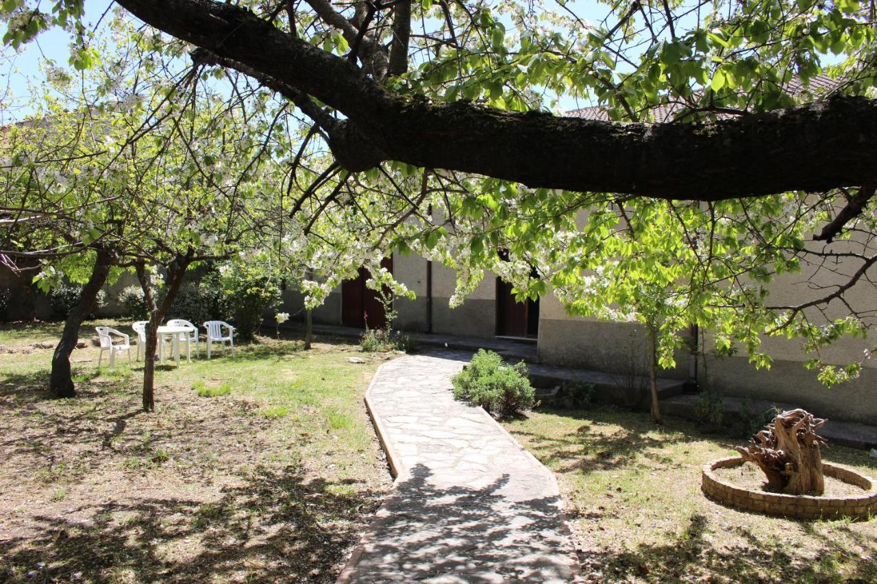 Antica Dimora Palazzo Rovitti Bed & Breakfast Cerchiara di Calabria Bagian luar foto